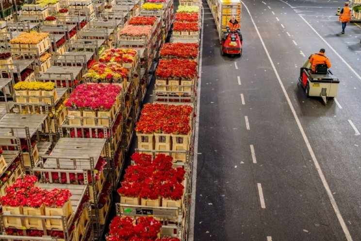 RFH balanceert logistieke middelen met TMS RFH balanceert logistieke middelen met TMS