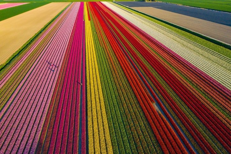 'Avond vol met ideeën, kansen en mogelijkheden' 'Avond vol met ideeën, kansen en mogelijkheden'