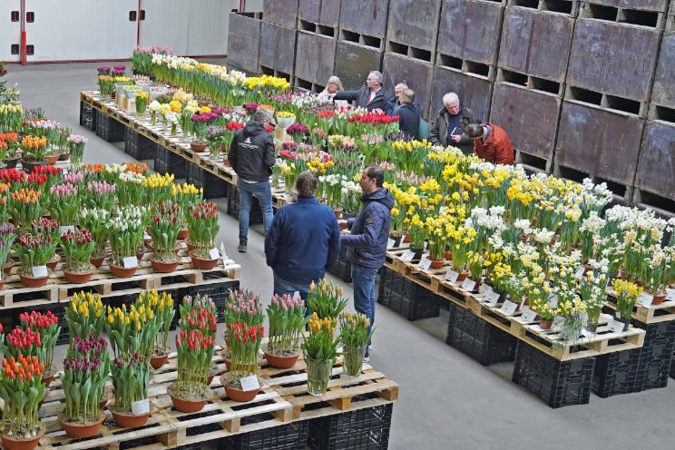 Flowerbulb Business Days Flowerbulb Business Days