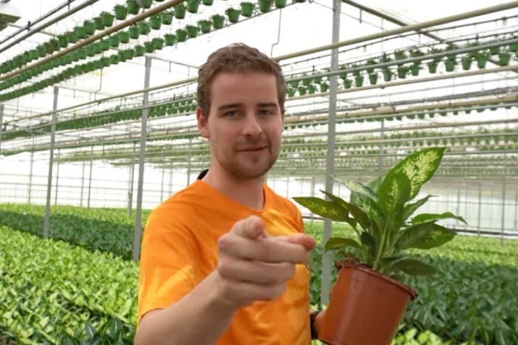 Word jij Koning Tuinbouw? Word jij Koning Tuinbouw?