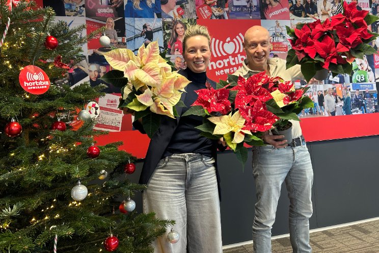 Morgen: Kerststerren! Morgen: Kerststerren!