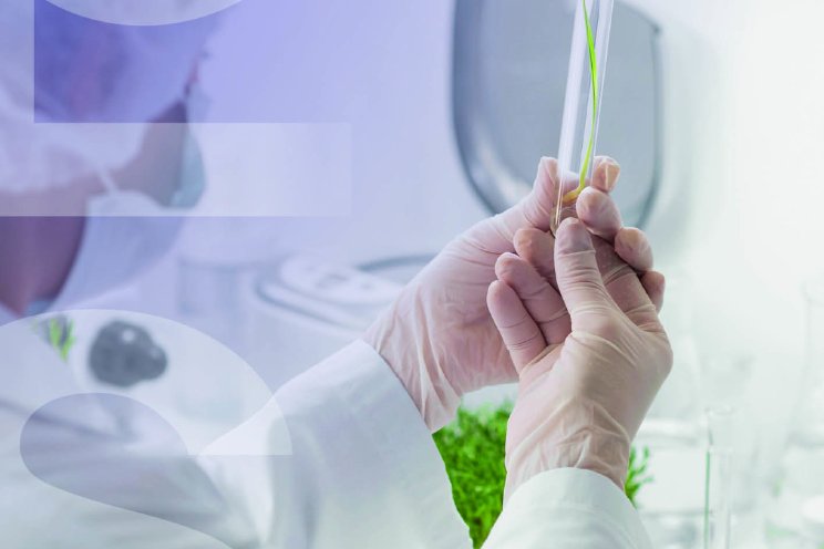 Nieuwe look Plant Select Nieuwe look Plant Select