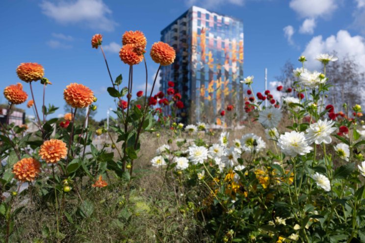 Doek valt voor Floriade: geen editie in 2032 Doek valt voor Floriade: geen editie in 2032