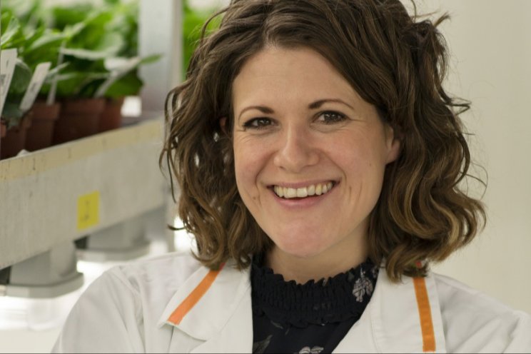 Dümmen Orange stelt nieuwe R&D-directeur aan Dümmen Orange stelt nieuwe R&D-directeur aan