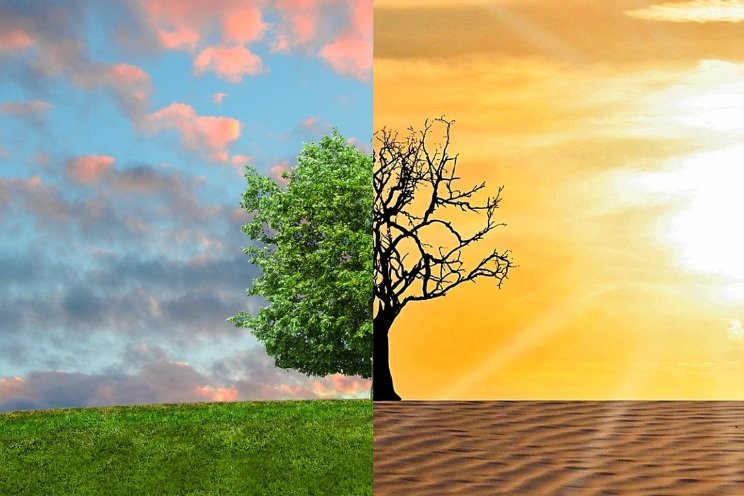 Klimaatverandering en Plantenziekten Klimaatverandering en Plantenziekten
