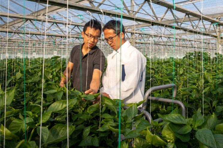 Handelsmissie naar Japan Handelsmissie naar Japan