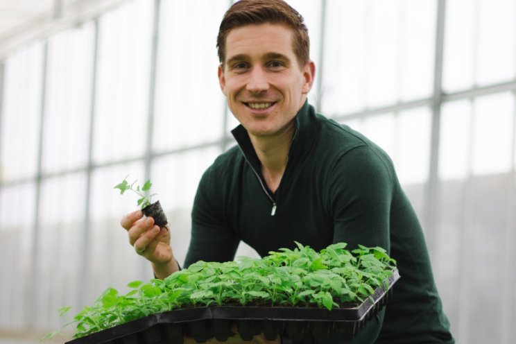 Van der Avoird Trayplant kiest voor Growcoon Van der Avoird Trayplant kiest voor Growcoon