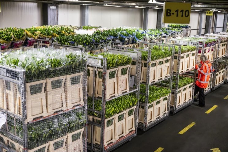 Nieuwe Voorwaarden RFH voor stapelwagens en fust Nieuwe Voorwaarden RFH voor stapelwagens en fust