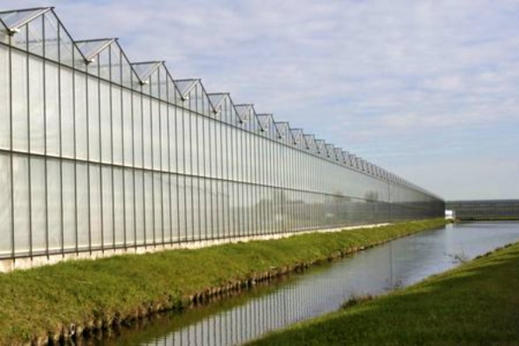 UO ook van belang voor de glastuinbouw zelf UO ook van belang voor de glastuinbouw zelf