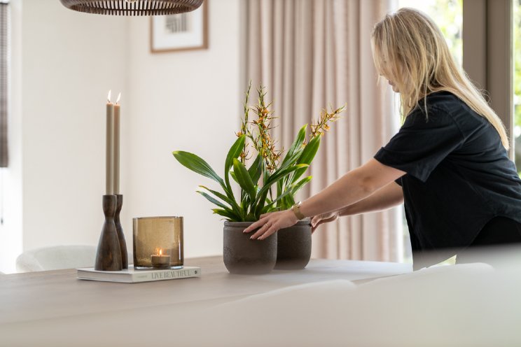 Ode aan de orchidee Ode aan de orchidee