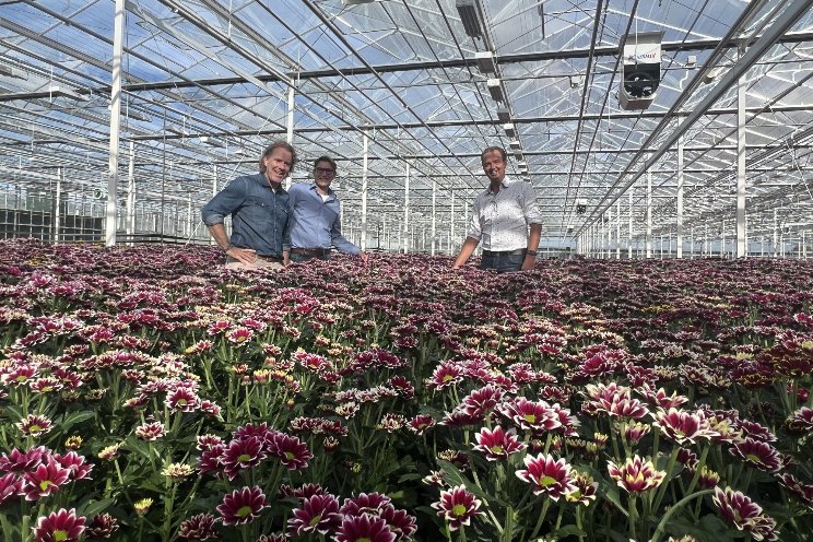 Samenwerking Van Iperen met Royal Van Zanten