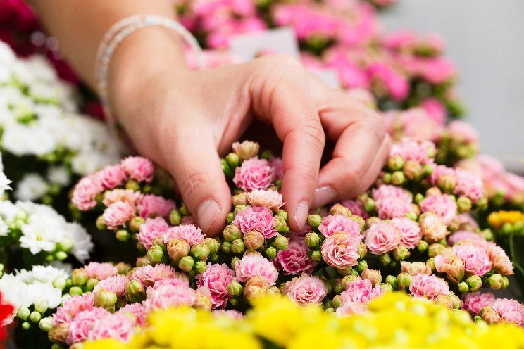 Drie nieuwe deelnemers Seasons Trade Fair Drie nieuwe deelnemers Seasons Trade Fair