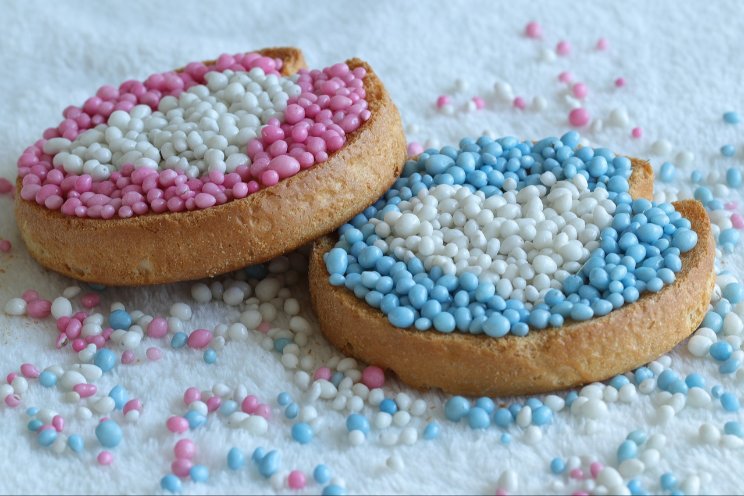 Paniek: geen muisjes! Paniek: geen muisjes!