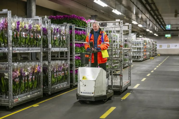 Start orderpicken planten Naaldwijk op 18 januari
Start orderpicken planten Naaldwijk op 18 januari