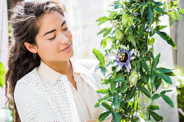 Consument positiever over bloemen en planten Consument positiever over bloemen en planten