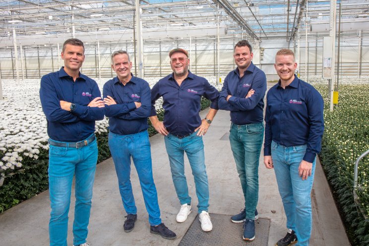 Perry Dekkers CEO bij Leen Middelburg Chrysanten Perry Dekkers CEO bij Leen Middelburg Chrysanten