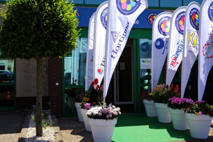 Zestal veredelaars bundelt krachten met FlowerTrials Zestal veredelaars bundelt krachten met FlowerTrials