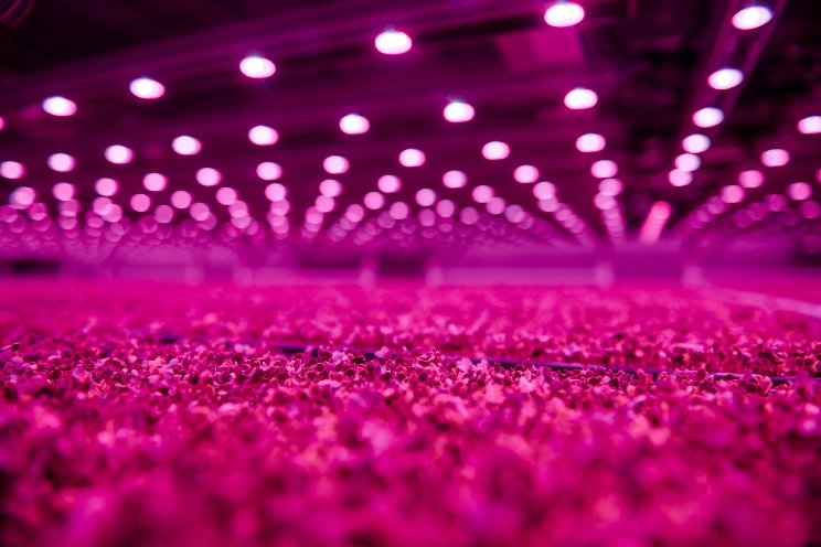 Hoe haal je nóg betere resultaten uit LED? Hoe haal je nóg betere resultaten uit LED?