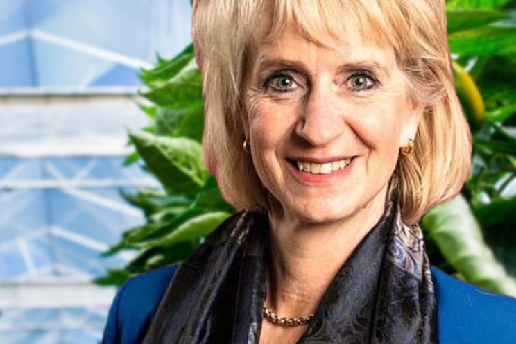 Jolanda Heistek: De betekenis van betekenis Jolanda Heistek: De betekenis van betekenis