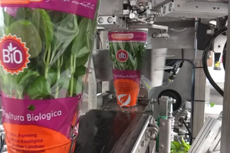 Geautomatiseerd potplanten verpakken Geautomatiseerd potplanten verpakken