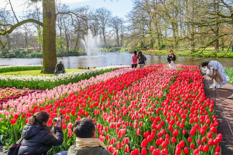 Keukenhof zoekt directeur Keukenhof zoekt directeur