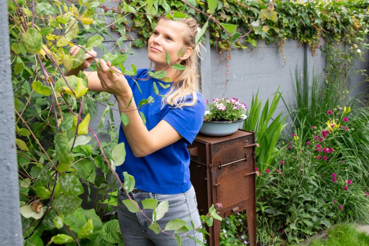 April: vergroenen tuinen, balkons en straten April: vergroenen tuinen, balkons en straten