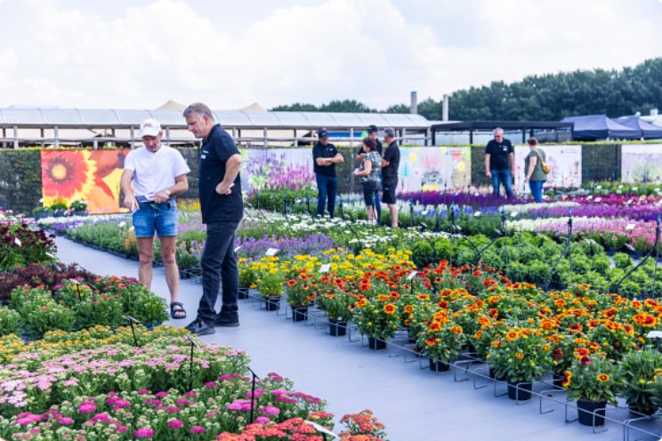 Aftellen tot FlowerTrials Aftellen tot FlowerTrials