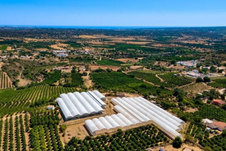 Bedrijf in Algarve te koop op TuinbouwMarktplaats Bedrijf in Algarve te koop op TuinbouwMarktplaats