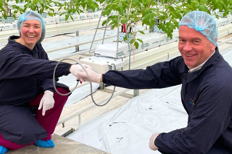 Dutch Plantin langer partner van Tomatoworld Dutch Plantin langer partner van Tomatoworld
