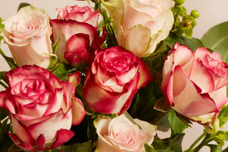 Bloomon lanceert eerste 100% Fairtrade boeket Bloomon lanceert eerste 100% Fairtrade boeket