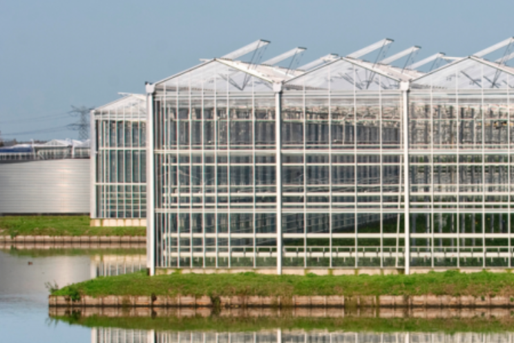 Glas-voor-glas regeling Noord-Brabant Glas-voor-glas regeling Noord-Brabant