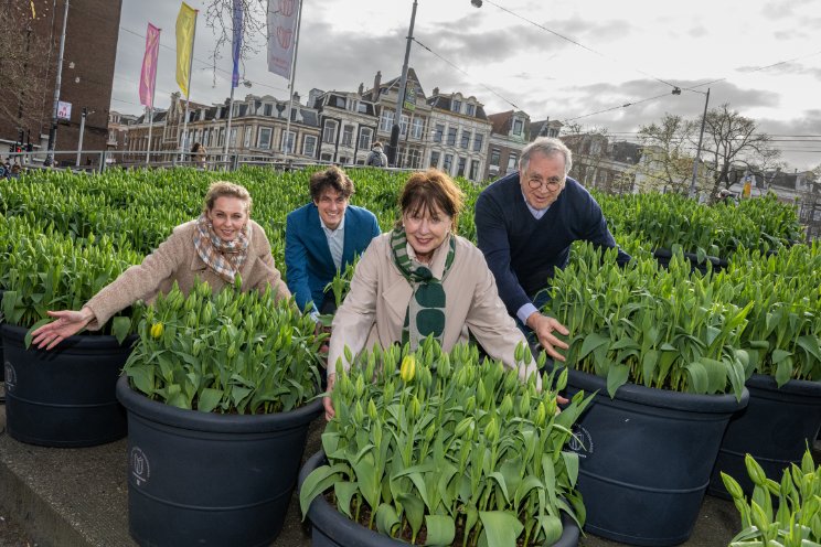 Tulp Festival van start Tulp Festival van start