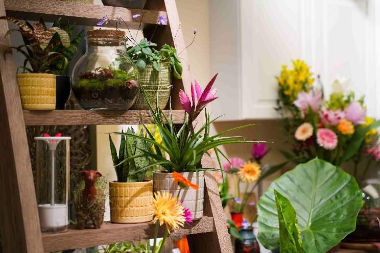 Decorum weer op tuinbeurs spoga+gafa Decorum weer op tuinbeurs spoga+gafa