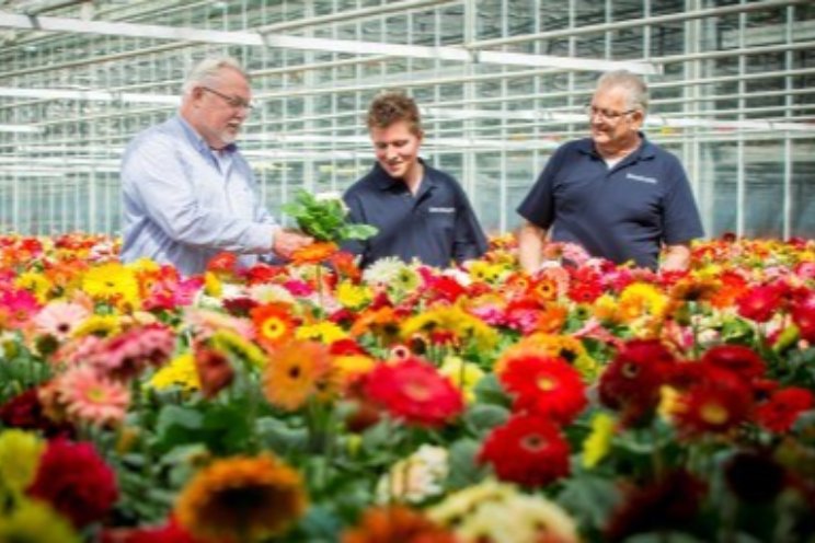 Royal FloraHolland houdt tevredenheidsonderzoek Royal FloraHolland houdt tevredenheidsonderzoek