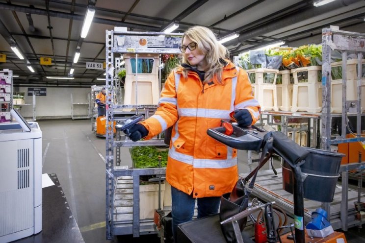 Acties dreigen bij Royal FloraHolland Acties dreigen bij Royal FloraHolland