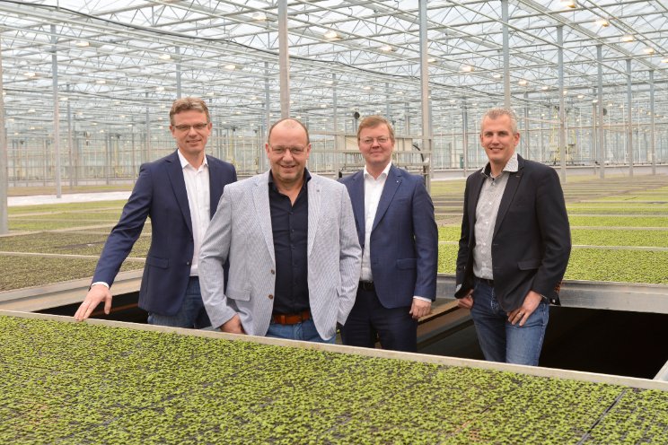 Nieuwe directiestructuur Schneider Youngplants Nieuwe directiestructuur Schneider Youngplants