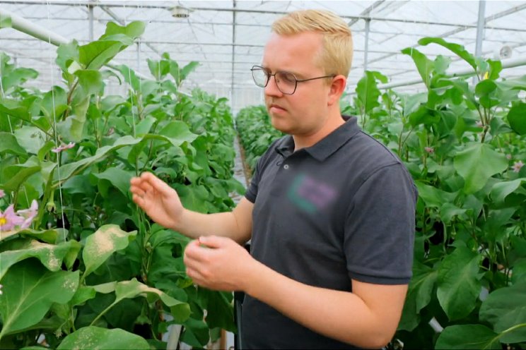 Luuk van Duijn in 'Schouders van Nederland'
