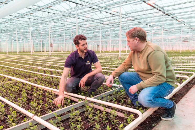 'Bloemengaas is precisiewerk' 'Bloemengaas is precisiewerk'