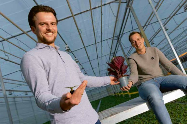 Planthunters: digitaal podium bijzondere planten Planthunters: digitaal podium bijzondere planten