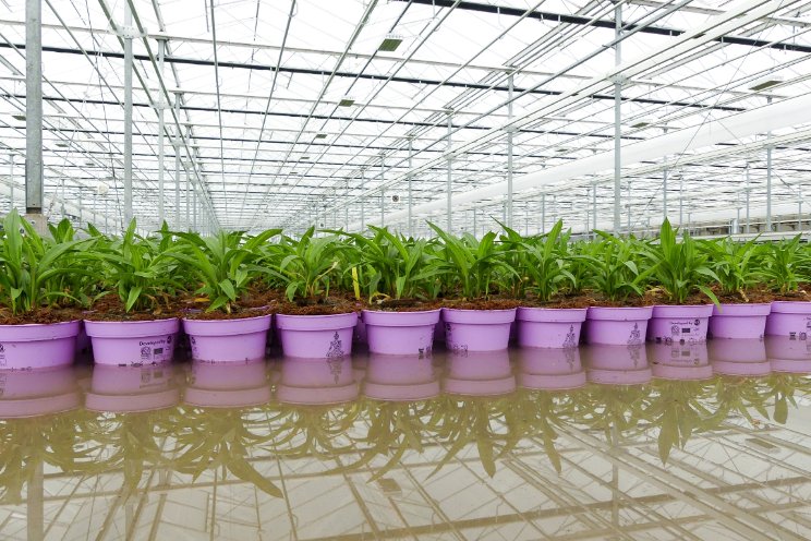 Water secrets for growers: Save more than you think! Water secrets for growers: Save more than you think!