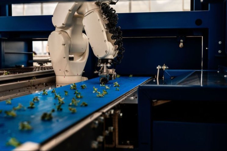 Kwekerij AllPlant wil voorop lopen met robots Kwekerij AllPlant wil voorop lopen met robots