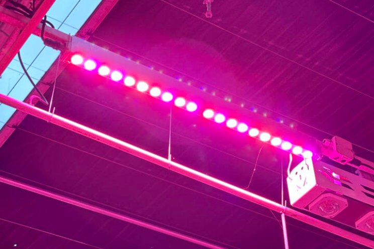 Gespot: LED