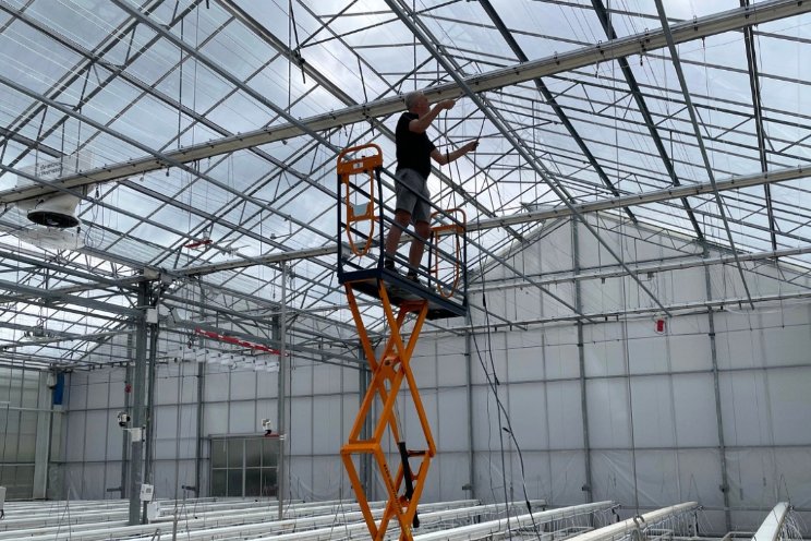 Tomatoworld bereidt zich voor op nieuw seizoen Tomatoworld bereidt zich voor op nieuw seizoen