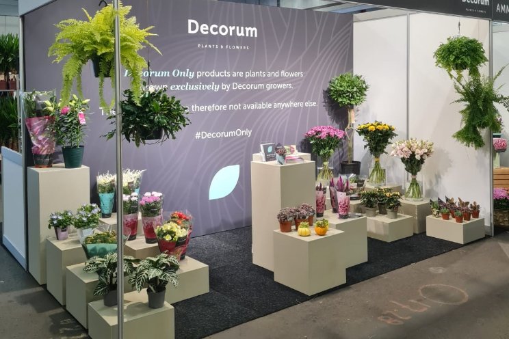 Decorum voor de eerste keer op RFH Autumn Fair Decorum voor de eerste keer op RFH Autumn Fair