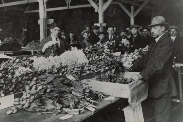 100 jaar bloemenveiling in het Westland 100 jaar bloemenveiling in het Westland