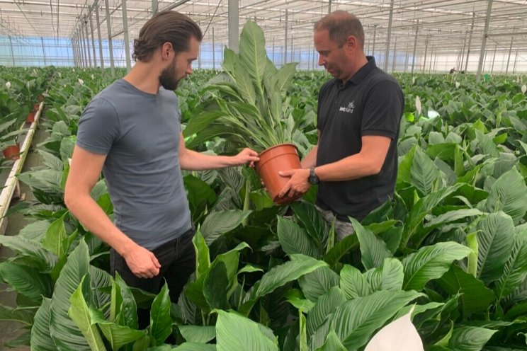 Robot sneller én slimmer met tillen zware planten Robot sneller én slimmer met tillen zware planten