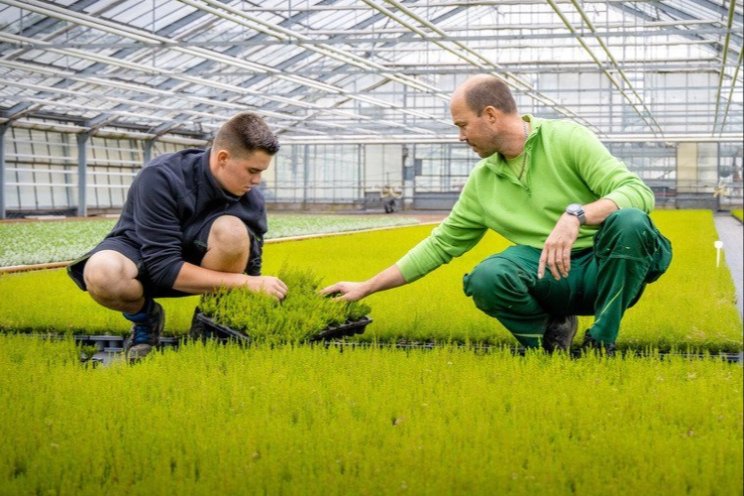 Alle plantenklokken gaan over op Centraal Veilen Alle plantenklokken gaan over op Centraal Veilen