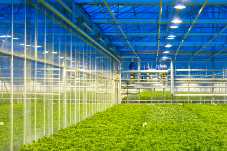Subsidies voor duurzame toekomst op een rij gezet Subsidies voor duurzame toekomst op een rij gezet