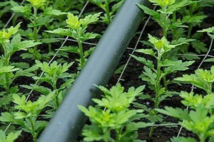 Leidingen veilig reinigen met waterstofperoxide Leidingen veilig reinigen met waterstofperoxide