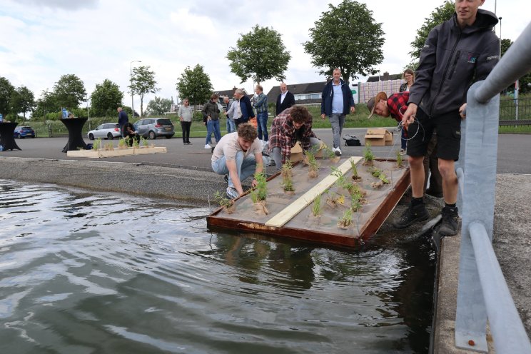 Biodiversiteit verbeteren met 'ecologische vlotten' Biodiversiteit verbeteren met 'ecologische vlotten'
